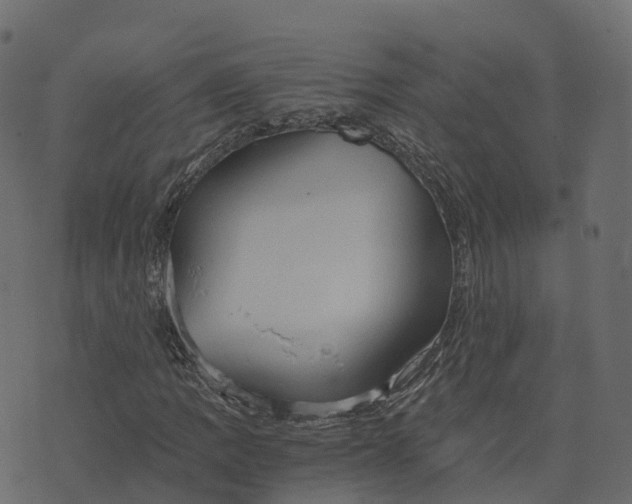 X0000073411109200608251518