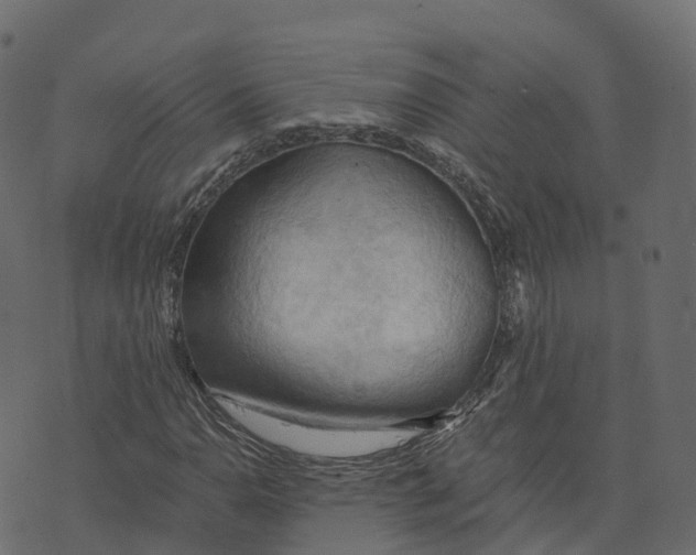 X0000073411110200608251518