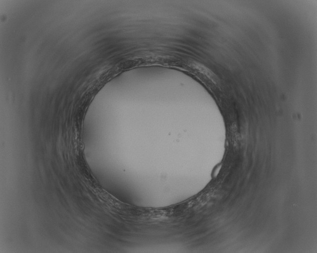 X0000073411111200608251518