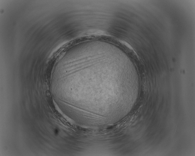 X0000073411112200608251518