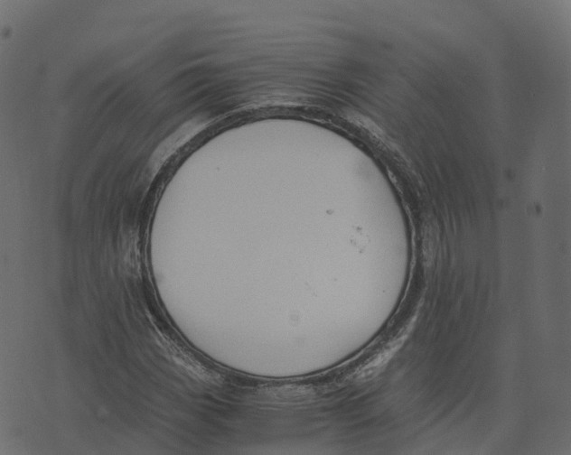 X0000073411113200608251518