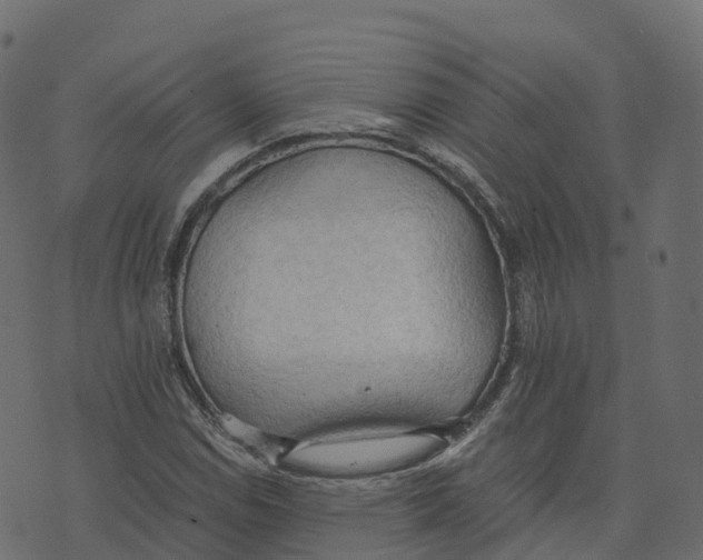 X0000073411114200608251518