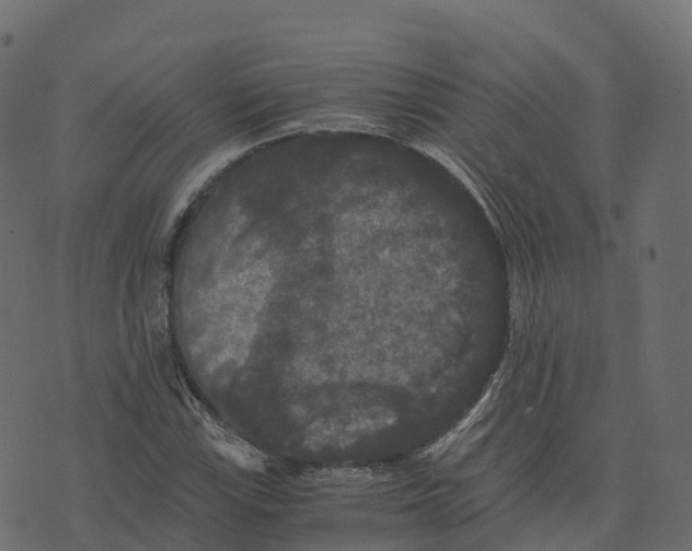 X0000073411115200608251518