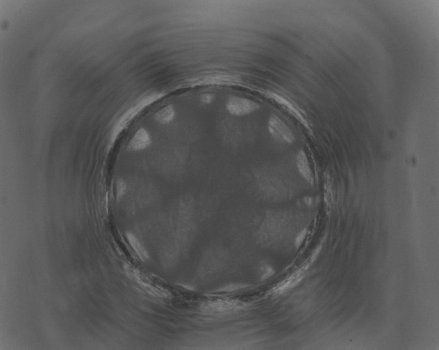 X0000073411117200608251518