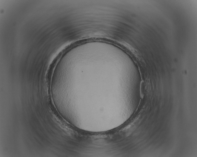 X0000073411118200608251518