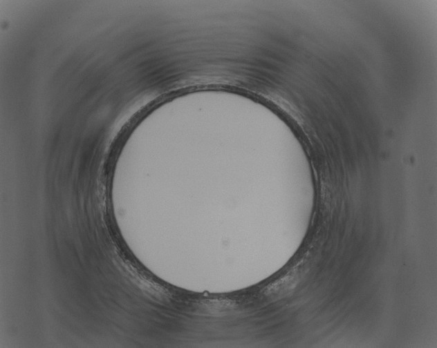 X0000073411119200608251518