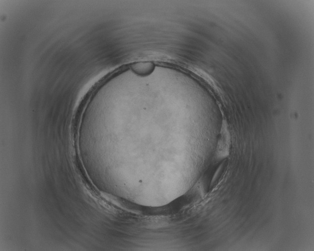 X0000073411120200608251518