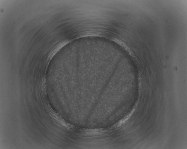 X0000073411121200608251518