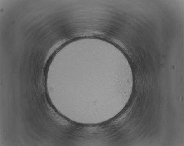 X0000073411122200608251518