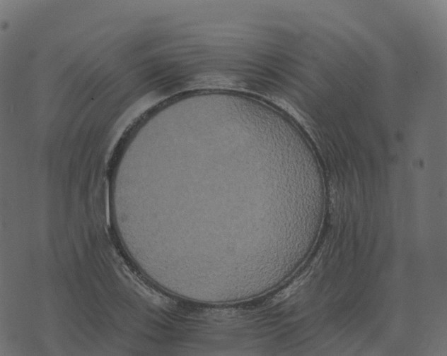 X0000073411123200608251518