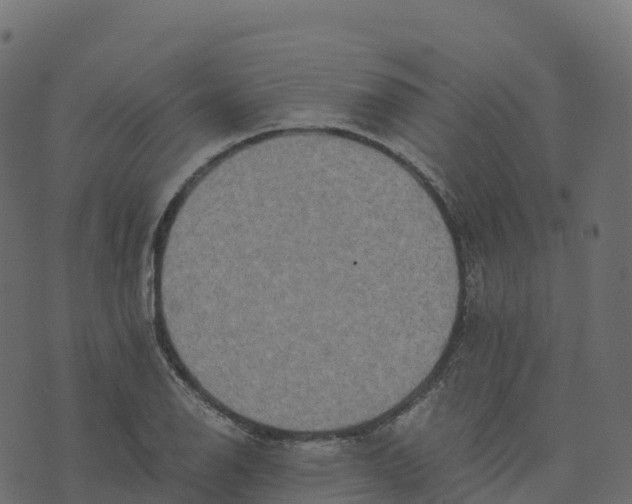 X0000073411126200608251518