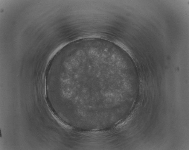 X0000073411127200608251518