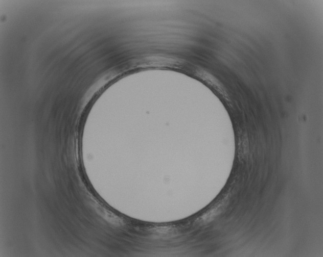 X0000073411130200608251518