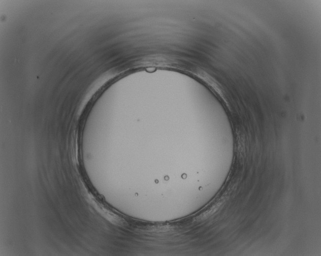 X0000073411131200608251518