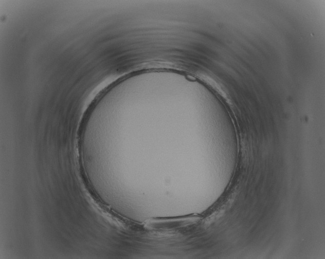 X0000073411133200608251518