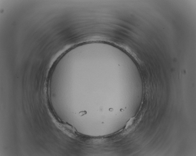 X0000073411134200608251518