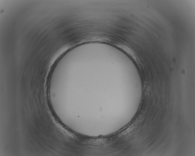 X0000073411135200608251518