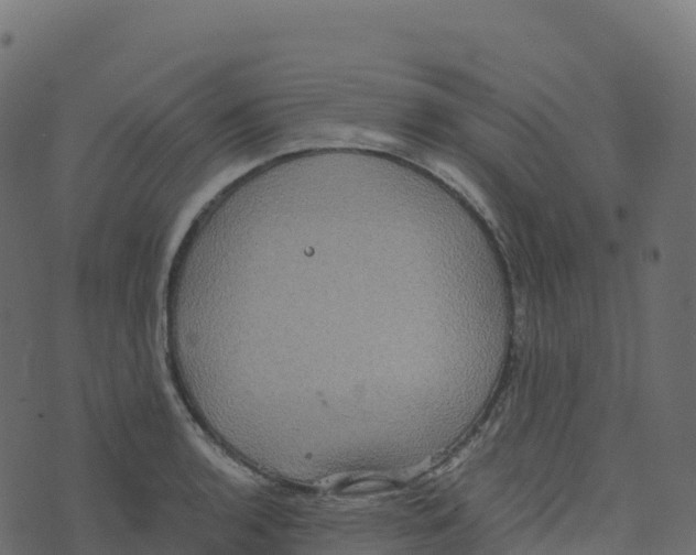 X0000073411136200608251518