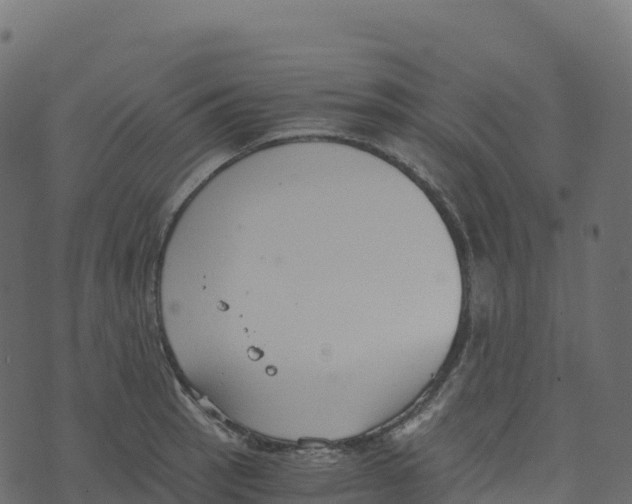 X0000073411137200608251518