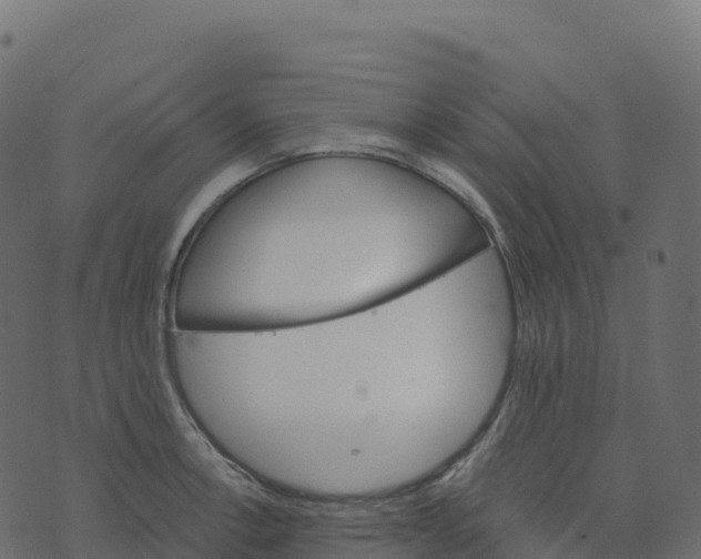 X0000073411138200608251518