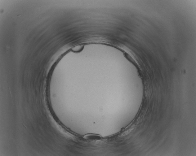 X0000073411139200608251518