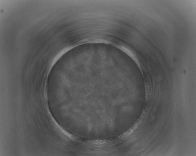 X0000073411141200608251518