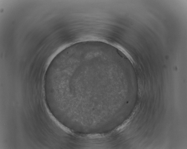 X0000073411142200608251518