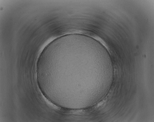 X0000073411143200608251518