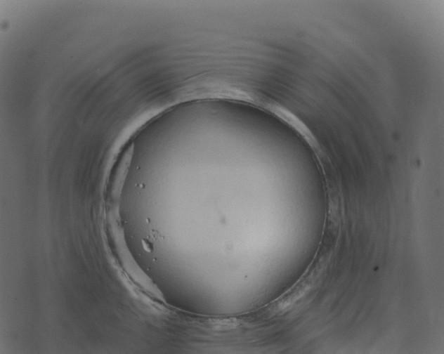 X0000073411144200608251518