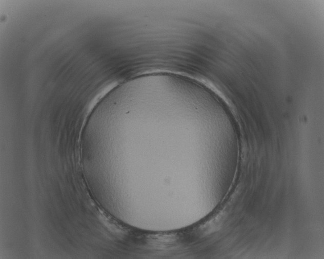 X0000073411145200608251518