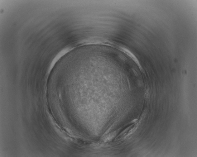 X0000073411146200608251518