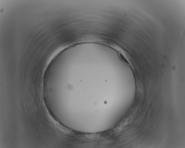 X0000073411147200608251518