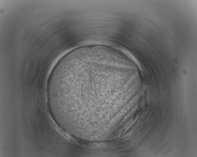 X0000073411148200608251518