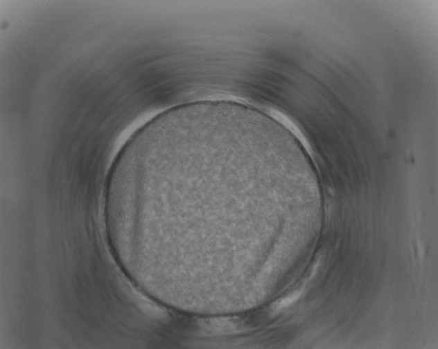 X0000073411149200608251518