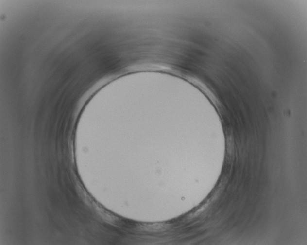 X0000073411150200608251518