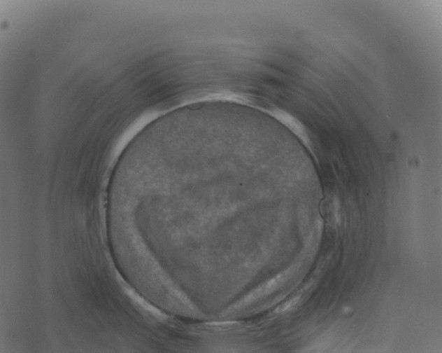 X0000073411151200608251518