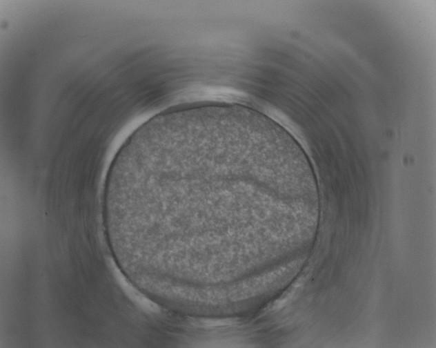 X0000073411152200608251518