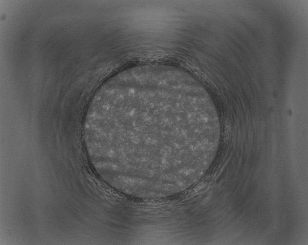 X0000073411153200608251517