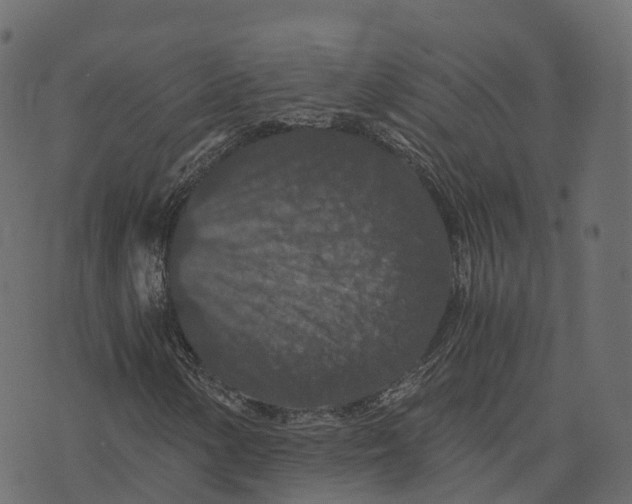 X0000073411154200608251517