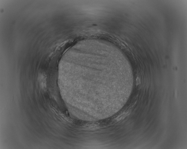 X0000073411156200608251517