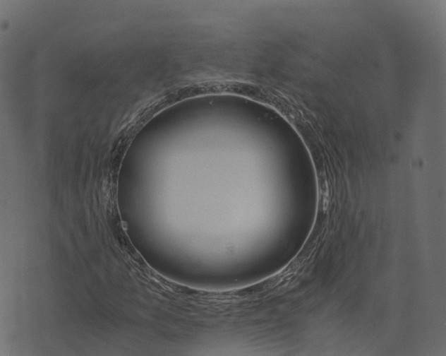 X0000073411157200608251517