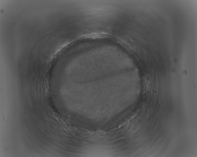 X0000073411158200608251517