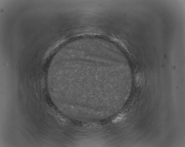 X0000073411159200608251517