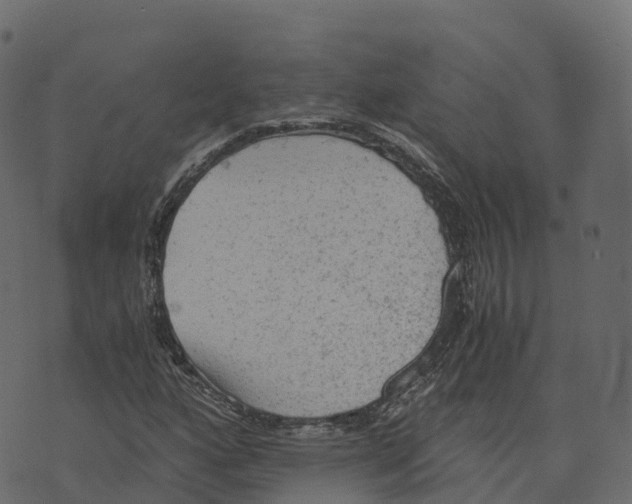 X0000073411160200608251517