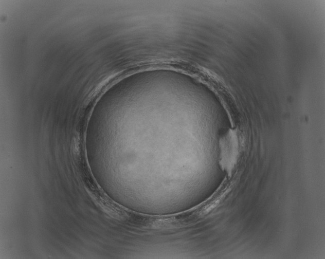 X0000073411161200608251517