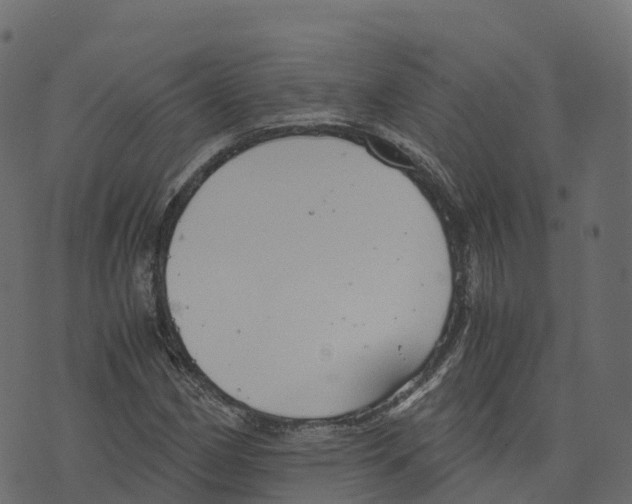 X0000073411162200608251517