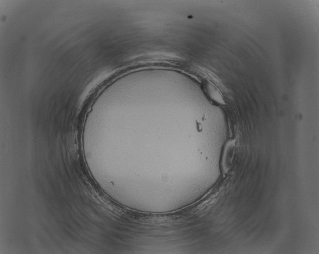 X0000073411164200608251517