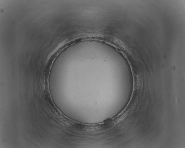 X0000073411165200608251517