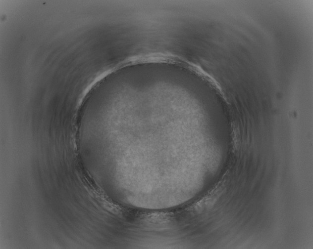 X0000073411166200608251517