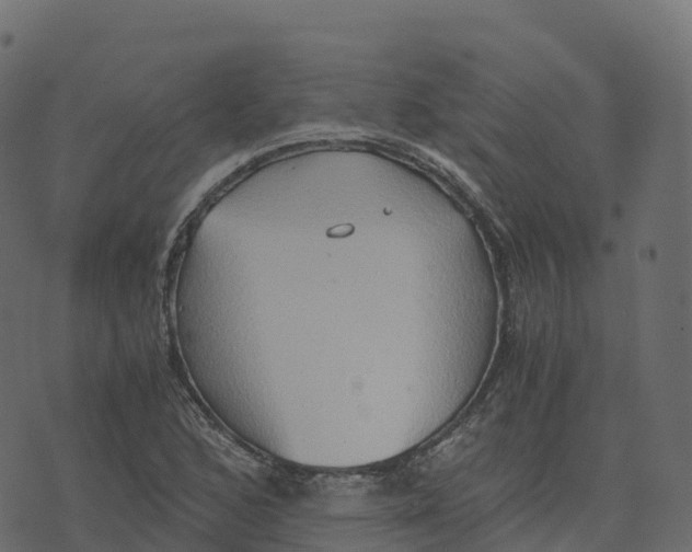 X0000073411168200608251517